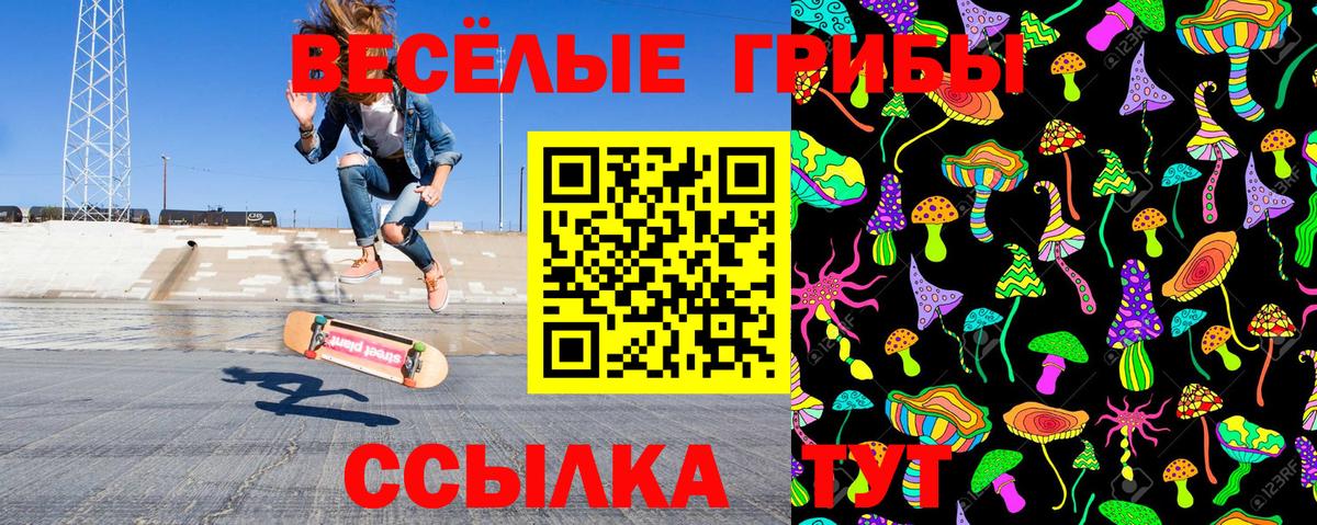 Галлюциногенные грибы Cubensis  Вход с VPN  Севастополь 